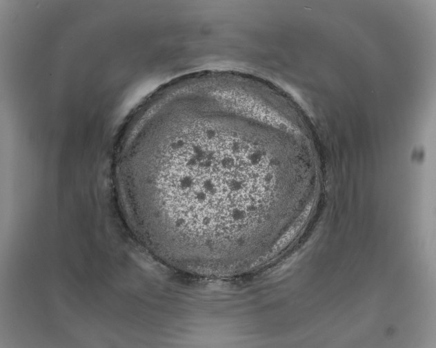 X0000090901263200708201710