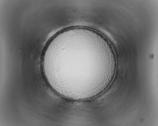 X0000090901264200708201710