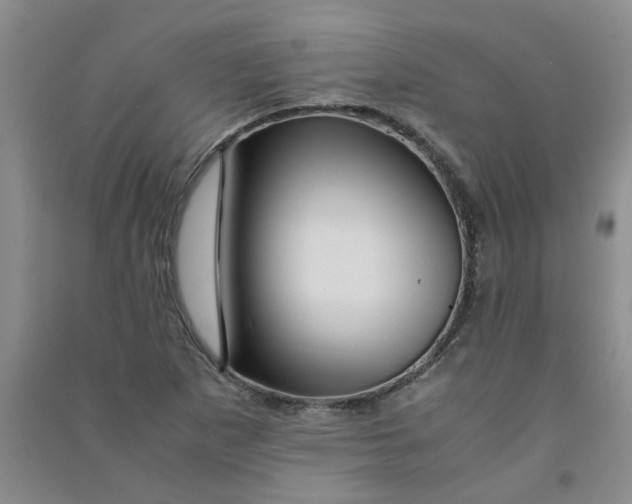 X0000090901265200708201710