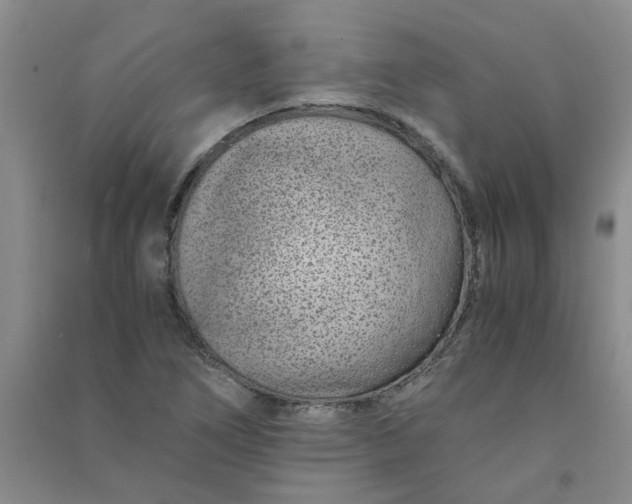 X0000090901266200708201710