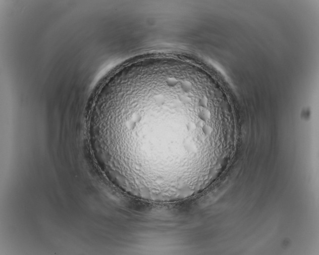 X0000090901267200708201710