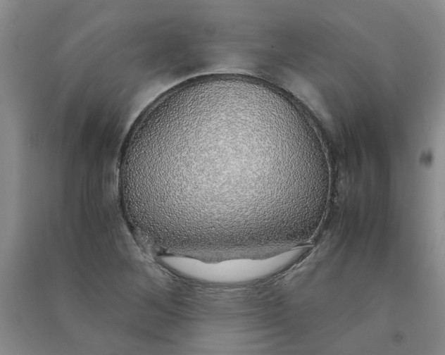 X0000090901268200708201710