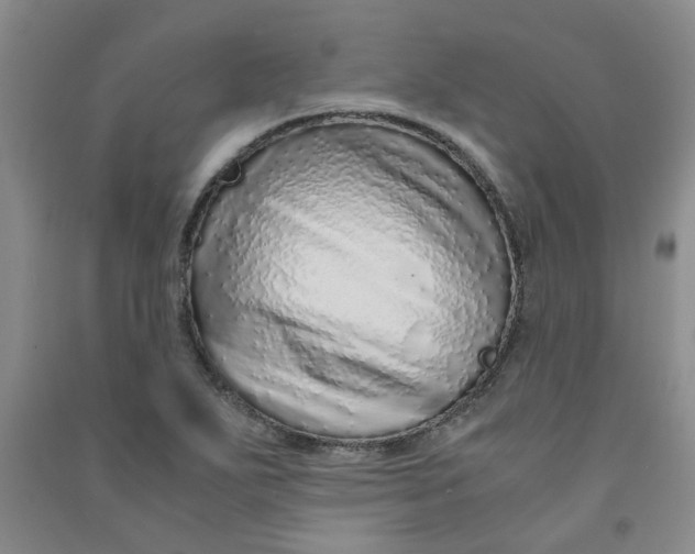 X0000090901271200708201710