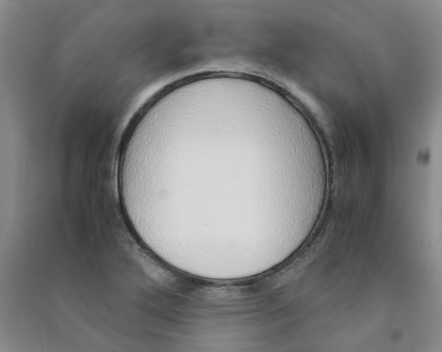 X0000090901272200708201710