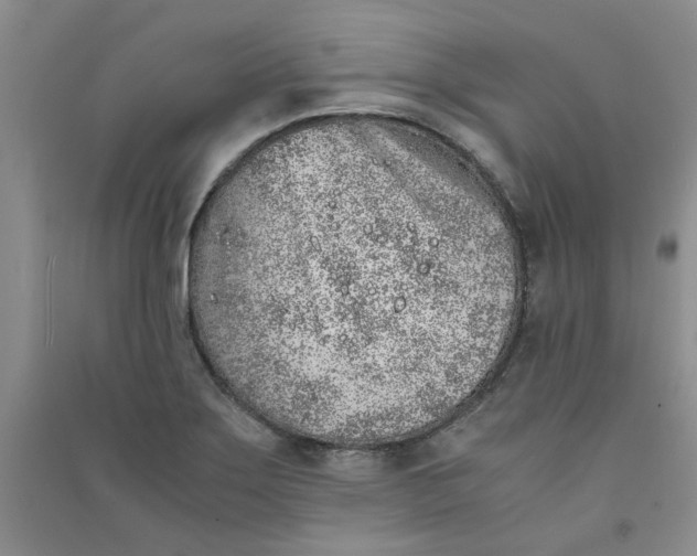 X0000090901275200708201710