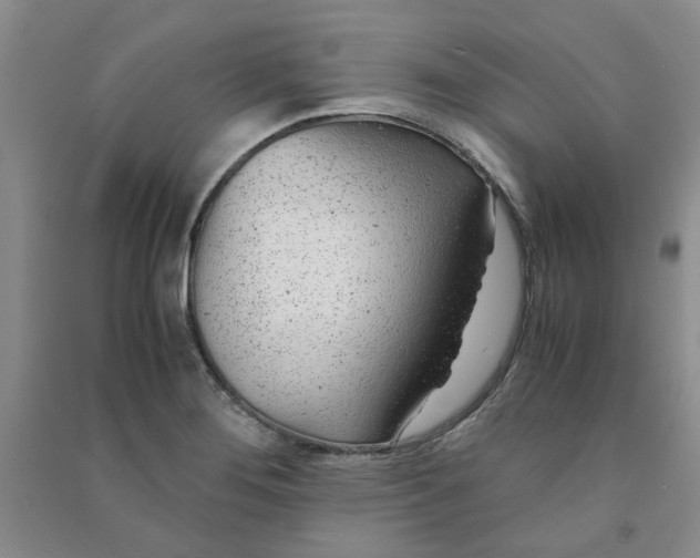 X0000090901276200708201710