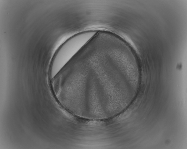 X0000090901277200708201710