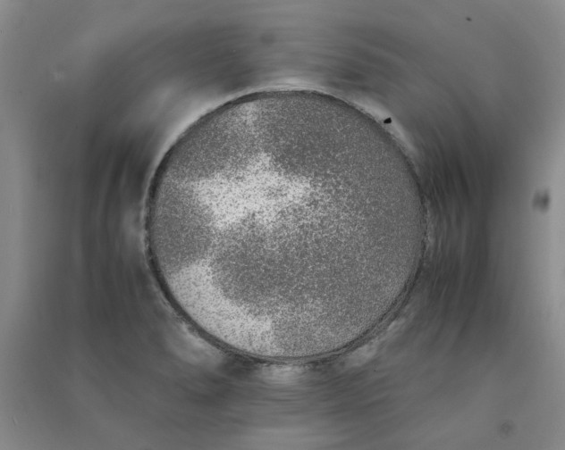 X0000090901278200708201710