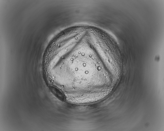 X0000090901279200708201710