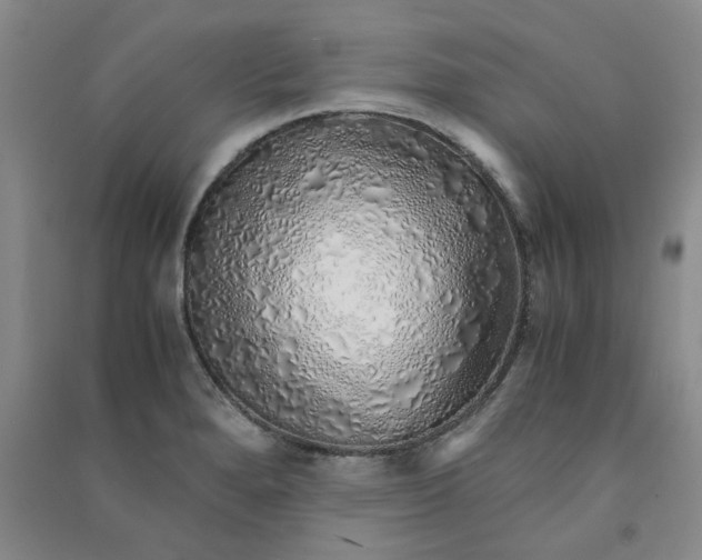 X0000090901280200708201709