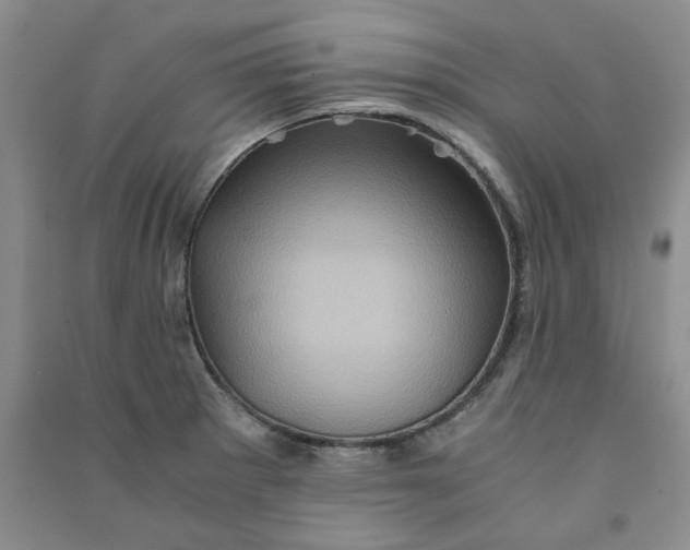 X0000090901281200708201709