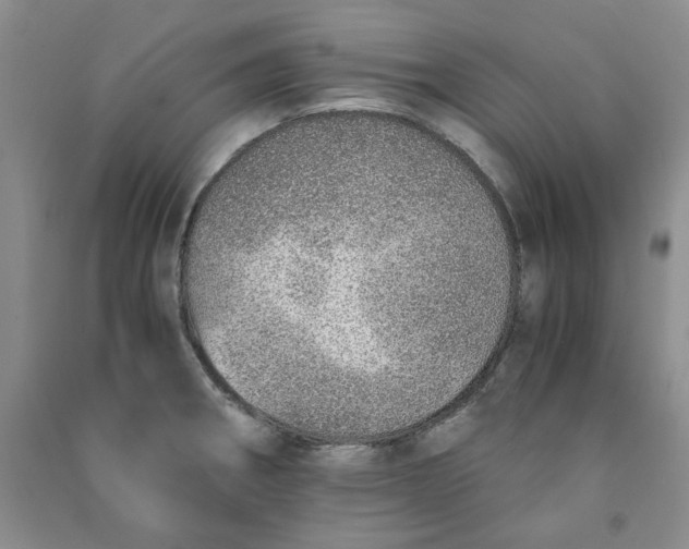 X0000090901282200708201709