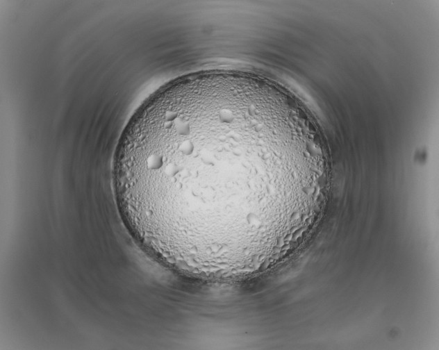 X0000090901283200708201709