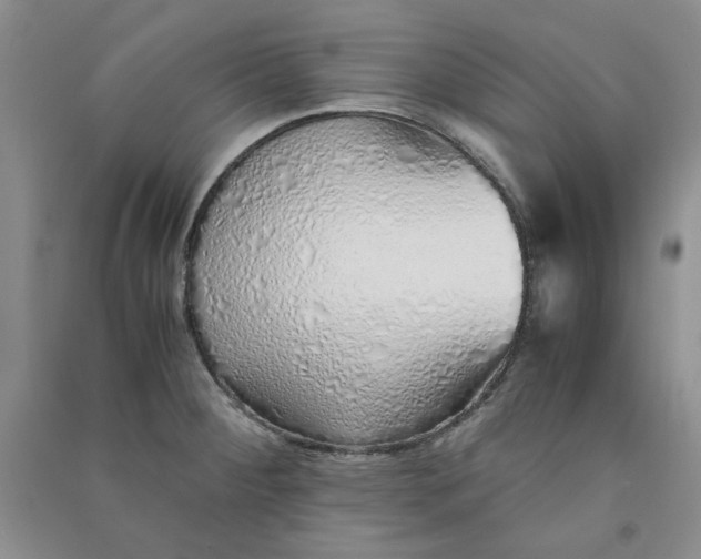 X0000090901284200708201709