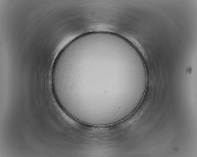 X0000090901285200708201709