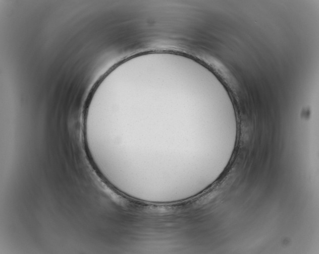 X0000090901286200708201709