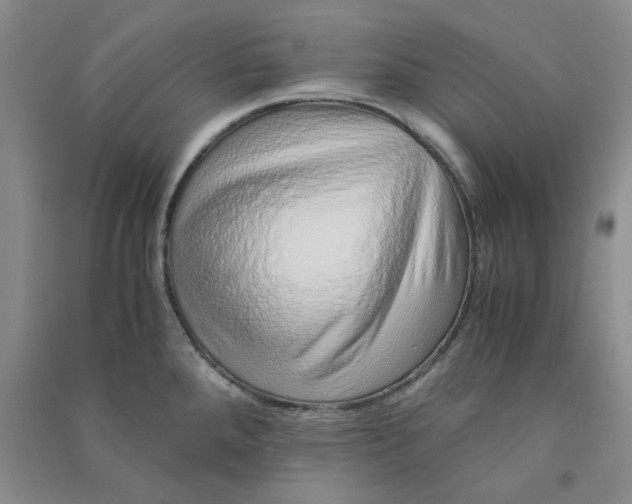 X0000090901288200708201709