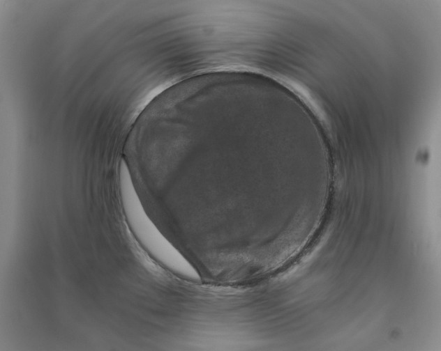 X0000090901289200708201709