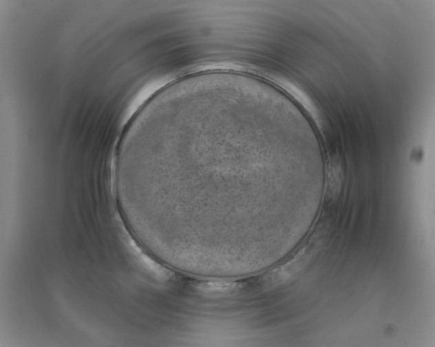 X0000090901290200708201709