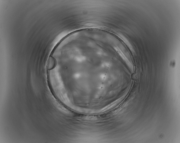 X0000090901291200708201709