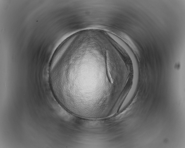 X0000090901292200708201709