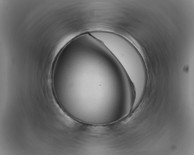 X0000090901293200708201709