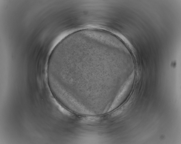 X0000090901294200708201709