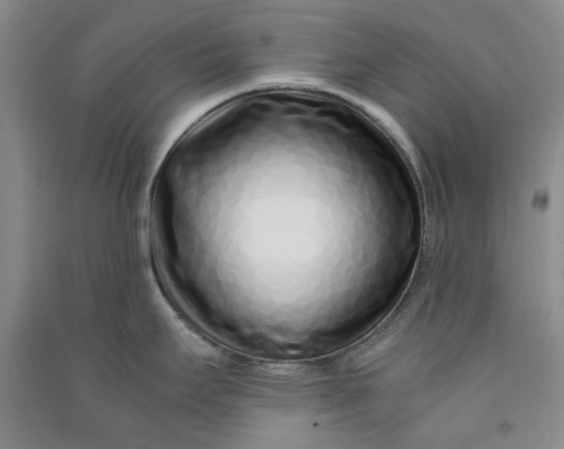 X0000090901295200708201709