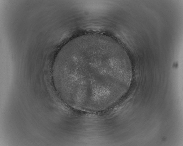 X0000090901297200708201709