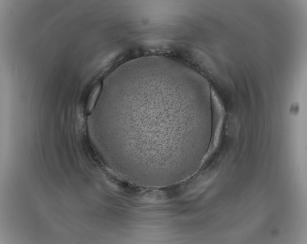 X0000090901298200708201709