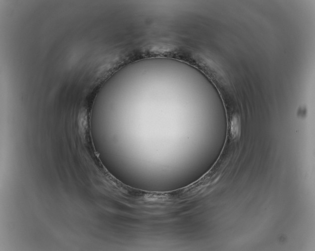 X0000090901299200708201709