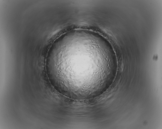 X0000090901301200708201709