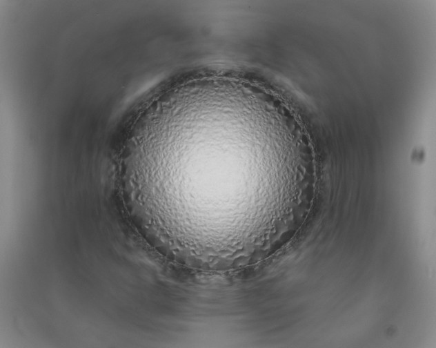 X0000090901302200708201709