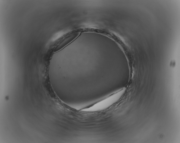 X0000090901303200708201709