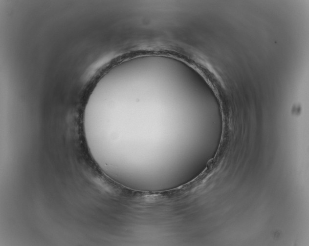 X0000090901304200708201709