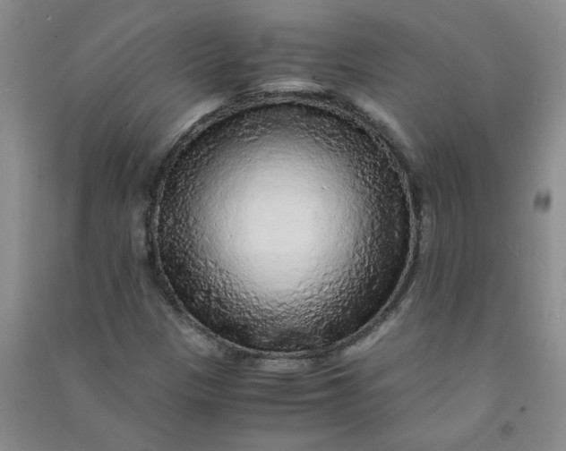 X0000090901305200708201709