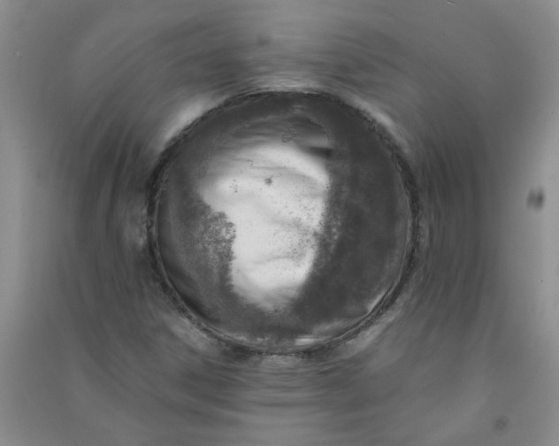 X0000090901306200708201709