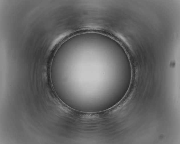 X0000090901307200708201709