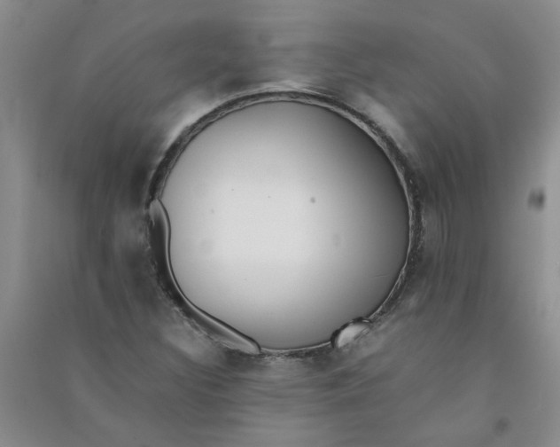 X0000090901308200708201709