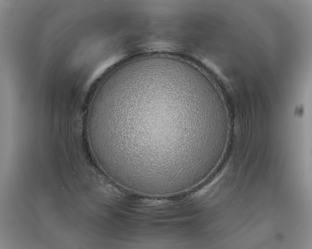 X0000090901309200708201709