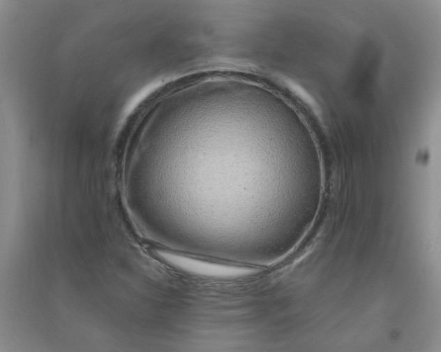 X0000090901310200708201709