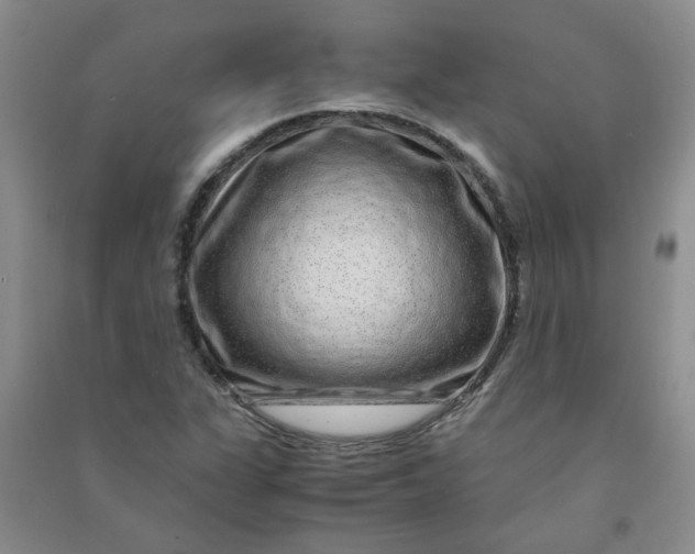 X0000090901311200708201709