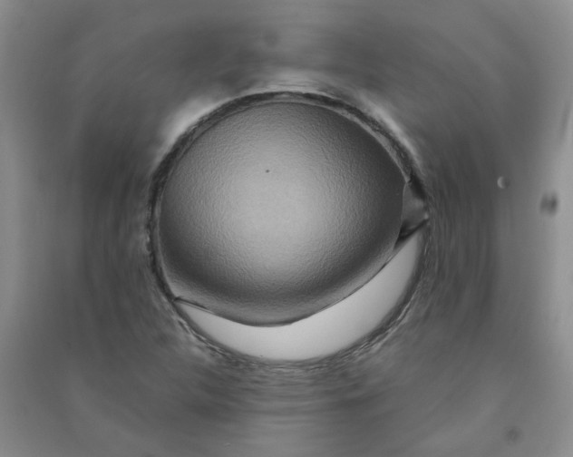 X0000090901312200708201709