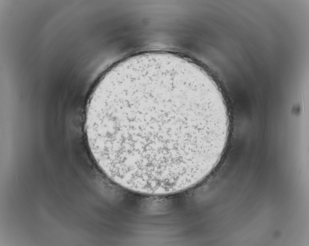 X0000090901314200708201709