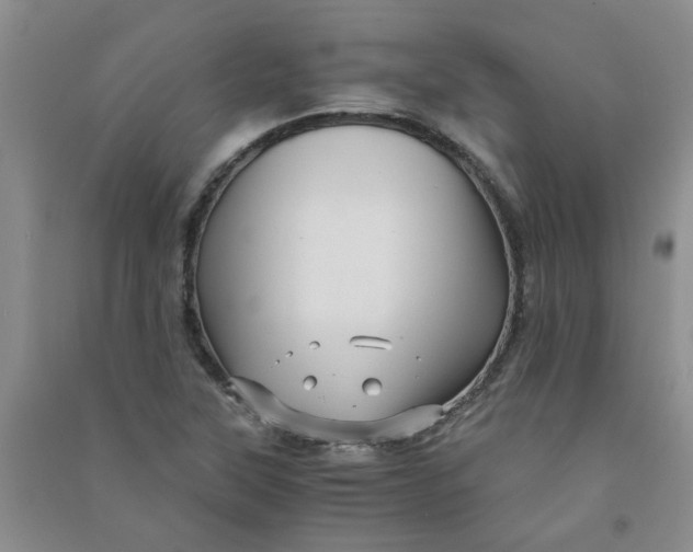 X0000090901315200708201709