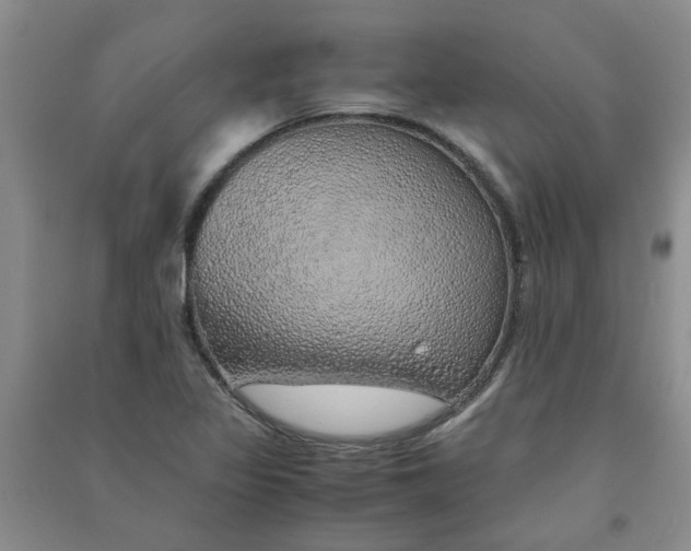 X0000090901317200708201709