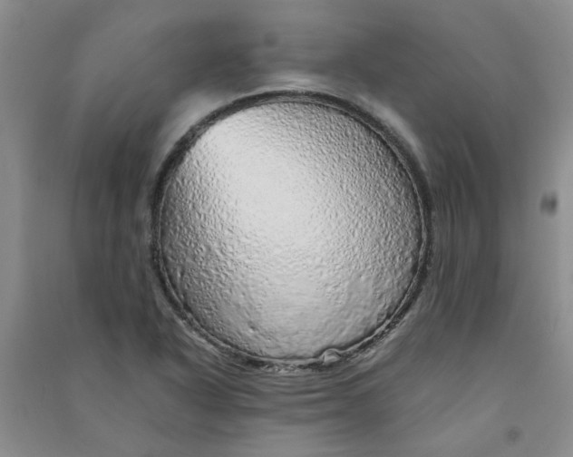 X0000090901318200708201709