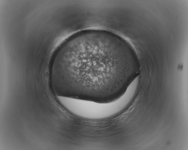 X0000090901319200708201709