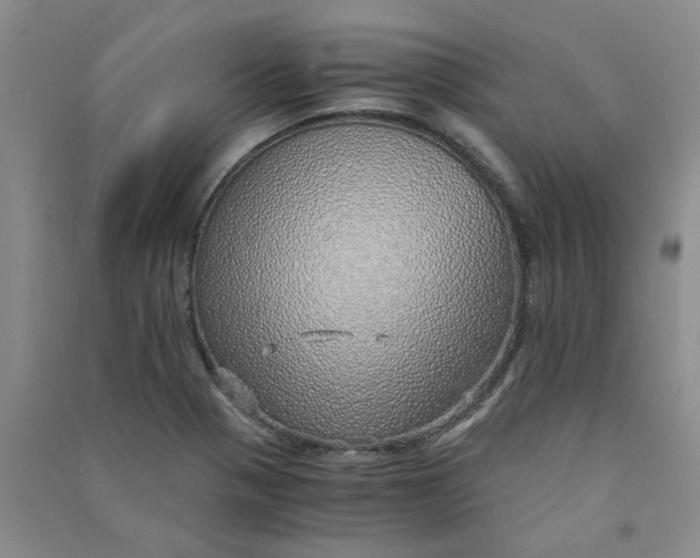 X0000090901321200708201709