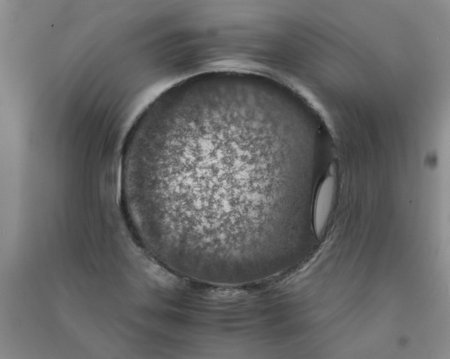 X0000090901323200708201709